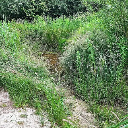 בית נופש 10 Person In Vinderup